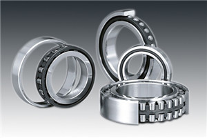 Cylindrical Roller Bearings