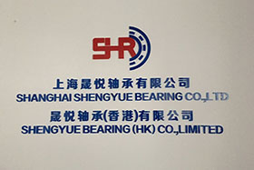 Our Company